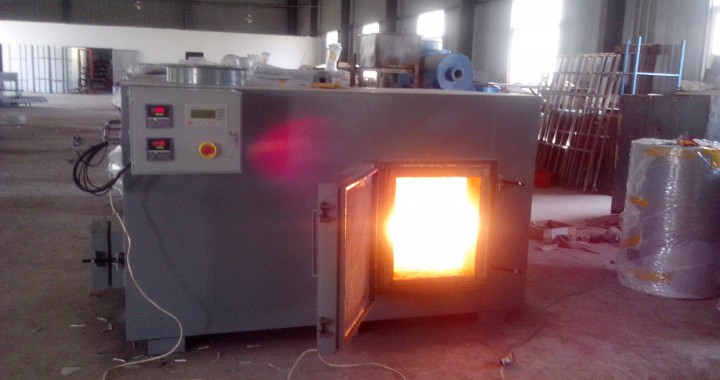 hog incinerators, dual chamber medical incinerator,